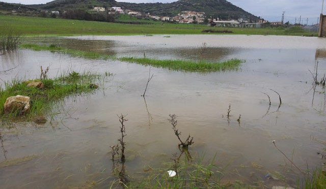 Βρέχει συνεχώς στην Απιδιά. Πολλές βροχές.