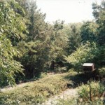 peter's_house3