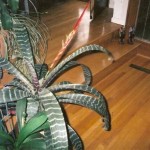 peter's_house4