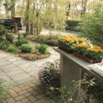 peter's_house_garden3