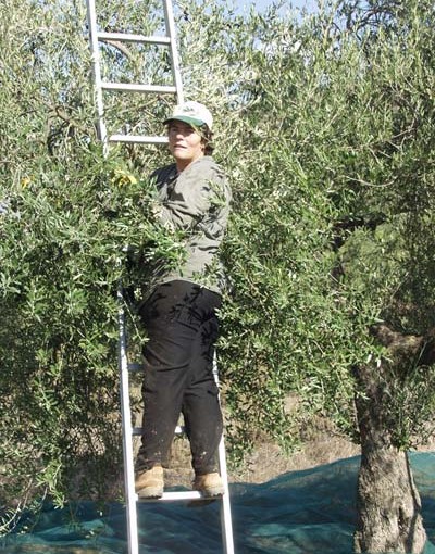 Το λάδι σήμερα …